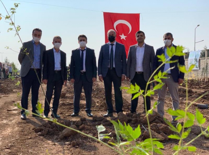 Milli Ağaçlandırma Gününde Nusaybin'e yüzlerce fidan dikildi