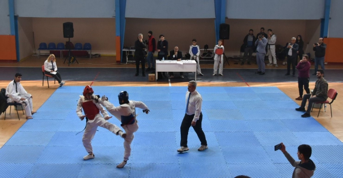 Nusaybin Taekwondo Mardin Finallerine ev sahipliği yaptı
