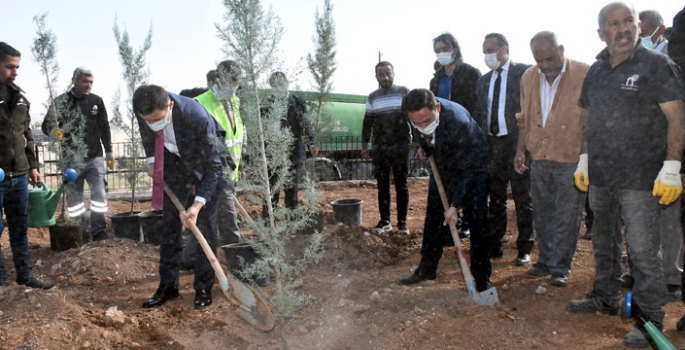 11 Kasım Milli Ağaçlandırma Günü'nde Nusaybin’de fidan dikildi