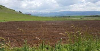 2/B ve tarım arazisi satışlarında süre uzatıldı