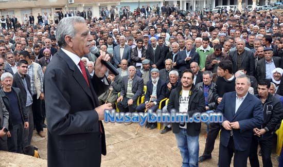 Bağımsız Milletvekili adayları Ahmet Türk ve Erol Dora Nusaybin'de