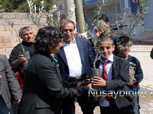 Nusaybin Belediyesi 5 Bin Zeytin fidanı dağıttı