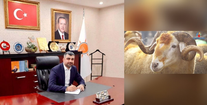 AK Parti Mardin İl Başkanı Kılıç'tan Kurban Bayramı Mesajı 