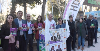 Akarsu, Duruca ve Girmeli'de HDP Seçim Büroları açıldı