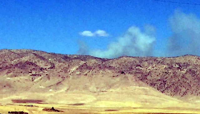 Nusaybin Bagok dağında yangın