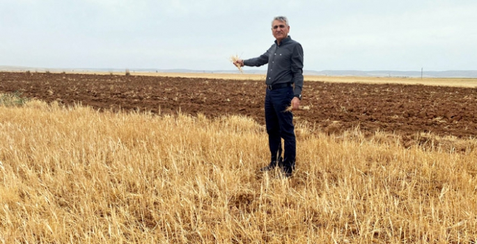 Başkan Aktaş, kuraklık nedeniyle Nusaybin’in afet bölgesi ilan edilmesini istedi