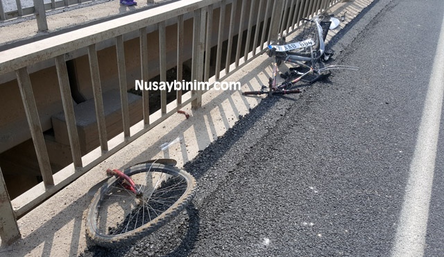 Nusaybin'deki kazada bisiklet sürücü hayatını kaybetti