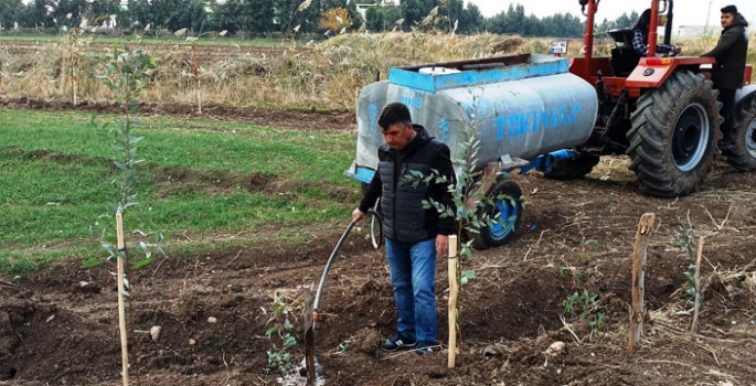 Çiftçi Yüce, Yolbilen Mahallesine Bin 500 fidan dikti