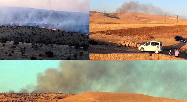 Nusaybin Bagok Dağı - Dera Çömera'da büyük yangın