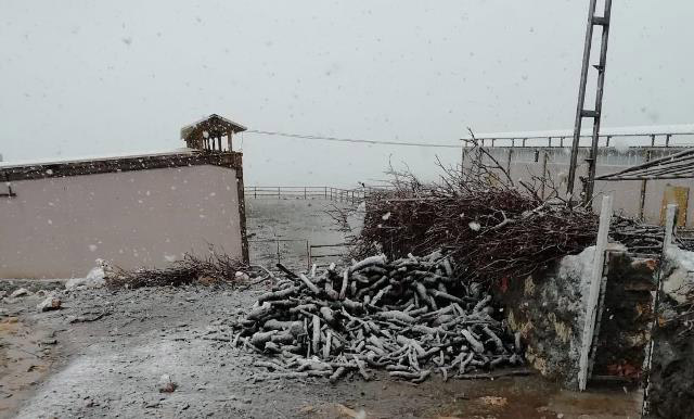 Nusaybin'in dağlık bölümüne kar yağışı başladı