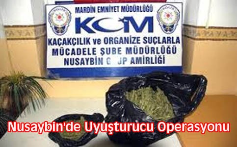 Nusaybin'de Uyuşturucu Operasyonu