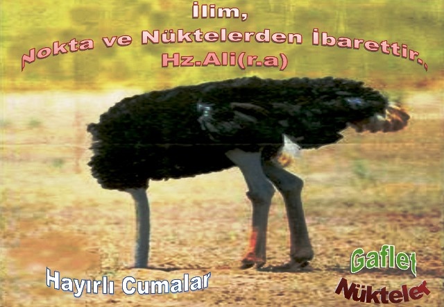 Hayırlı Cumalar / Gaflet 2