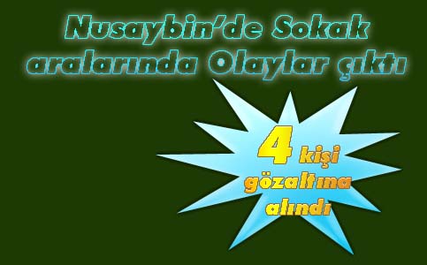 Nusaybin'de 4 kişi gözaltına alındı