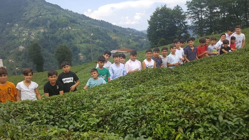 Nusaybinli öğrenciler Karadeniz Bölgesini gezdi