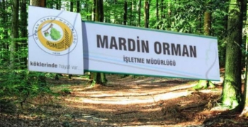 Mardin geneli ormanlık alanlara giriş - çıkışlar yasaklandı