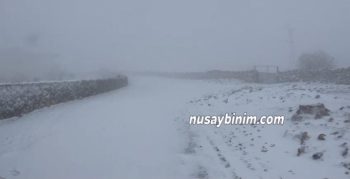 Nusaybin Bagok dağında kar yağışı başladı