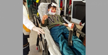Nusaybin'de köpeklerin saldırısına uğrayan çocuk ağır yaralandı