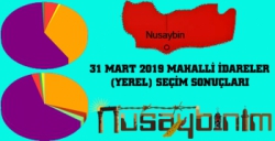 Nusaybin'de Seçim sonuçları