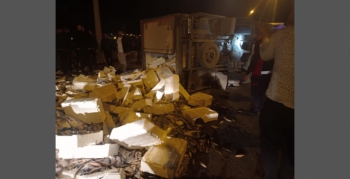 Nusaybin İpek yolunda balık yüklü kamyon kaza yaptı, 2 yaralı