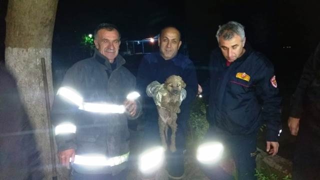 Tahliye borusunda mahsur kalan köpek İtfaiye tarafından kurtarıldı