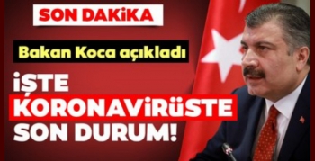 Koronavirüsten hayatını kaybedenlerin sayısı 44 oldu