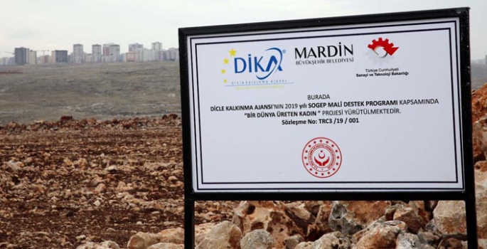 Lavanta Bahçeleri için arazi hazırlığı hizmeti alınacaktır