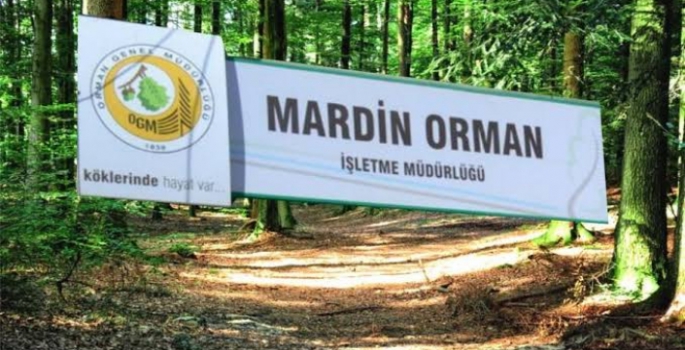 Mardin geneli ormanlık alanlara giriş - çıkışlar yasaklandı
