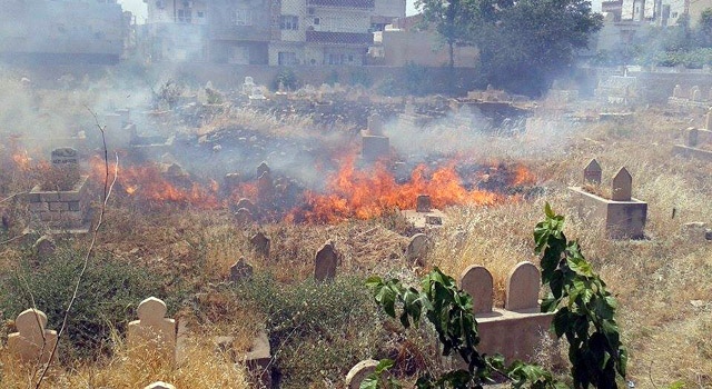 Nusaybin'de mezarlıkta yangın çıktı