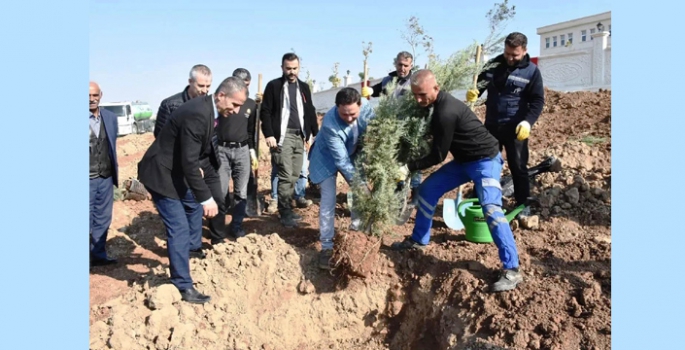 Milli Ağaçlandırma Günü dolayısıyla Nusaybin’de fidan dikildi