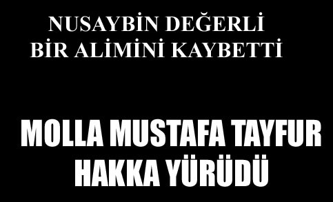 Molla Mustafa Tayfur Hakka yürüdü
