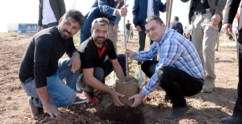 Nusaybin'de 3 saatte 14 bin fidan dikildi