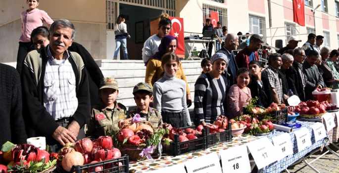 Nusaybin'de Akarsu Nar Festivali düzenlendi