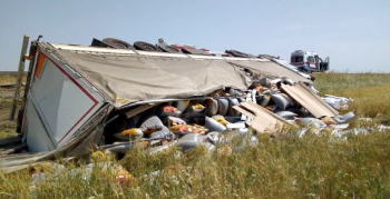 Nusaybin'de çekirdek yüklü tır devrildi, 1 yaralı