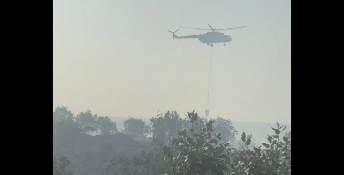 Nusaybin'de Dağlık Alanda Çıkan Orman Yangını Rüzgarın Etkisiyle Büyüyor