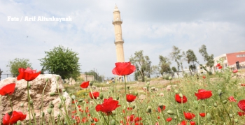 Nusaybin'de Kadir Gecesi ihya edilecek