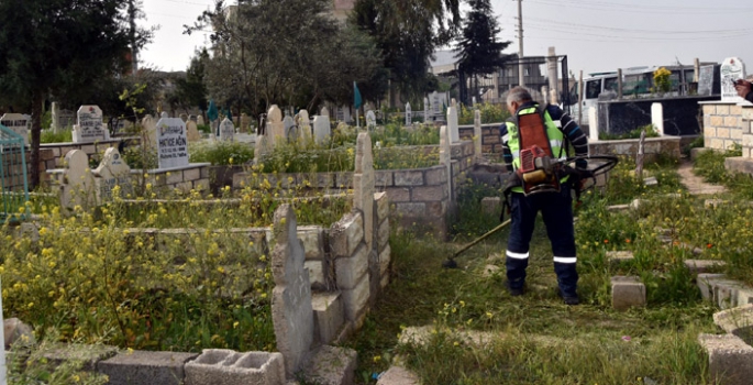 Nusaybin'de mezarlıklarda temizlik çalışmaları