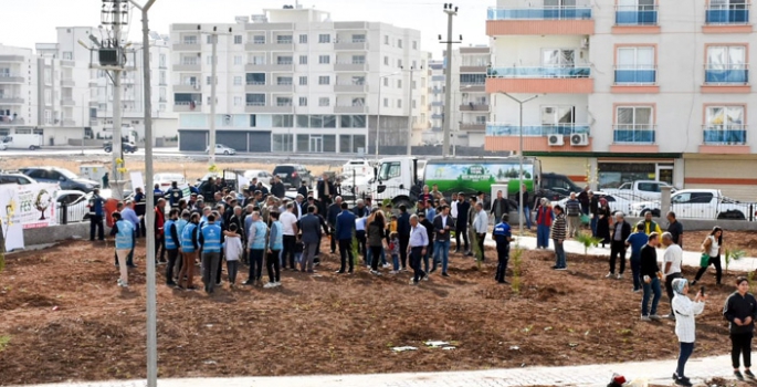 Nusaybin'de Milli Ağaçlandırma Günü nedeniyle fidan dikildi