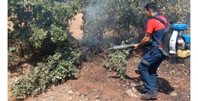 Nusaybin’de ormanlık alandaki yangına erken müdahale faciayı önledi