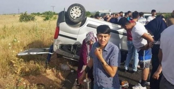 Nusaybin'de trafik kazası, 1 yaralı