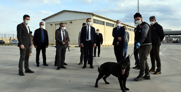 Nusaybin Gümrüğünde göreve başlayan Narkotik Dedektör Köpeği uyuşturucuya geçit vermeyecek 