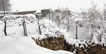 Nusaybin kırsal mahallelerine lapa lapa kar yağıyor