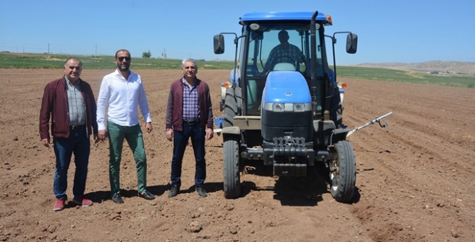 Nusaybin Ticaret Borsası çiftçileri teşvik etmek amacıyla yer fıstığı üretimi projesine başladı