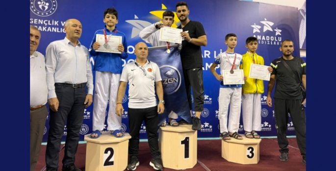 Nusaybinli Taekwondocu Şimşek, Türkiye zirvesinde