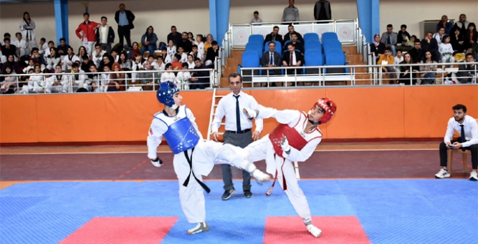 Nusaybinli Taekwondocular İl Şampiyonasında 42 birincilik aldı