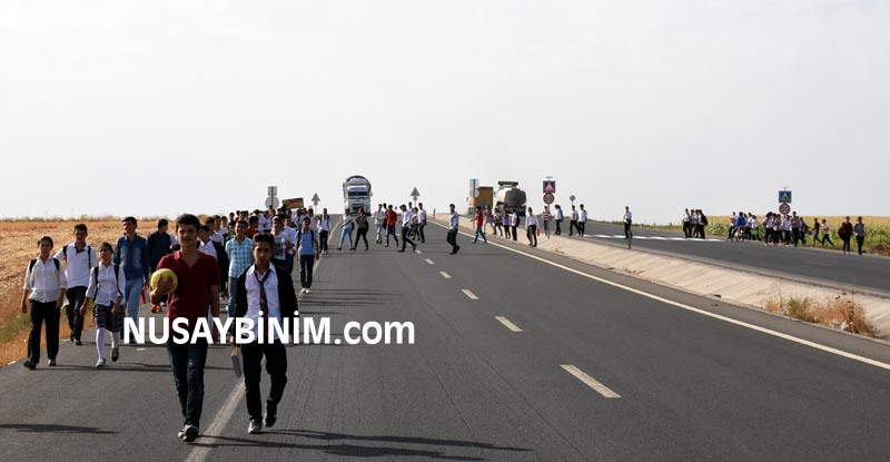 Nusaybin'deki 6 STK'dan Karayollarına Acil çağrı
