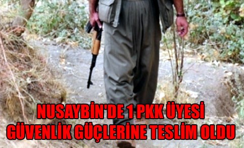 Nusaybin'de 1 PKK üyesi teslim oldu