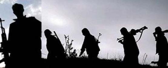 PKK üyeleri Beyazsu'da yol kapattı