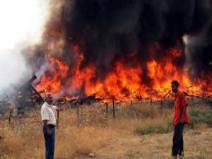 Durakbaşı köyünde Demiryolu Travesleri yandı