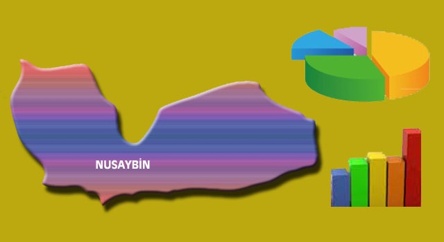 Nusaybin'deki son 4 seçim istatistikleri