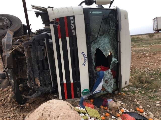 Nusaybin'de yumurta yüklü tır devrildi, 1 yaralı